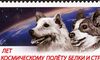 Belka y Strelka las dos perritas que viajaron al espacio y regresaron para contarlo