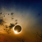 Cuando el Sol se apaga y la naturaleza habla as estudiar la ciencia el eclipse de 2026