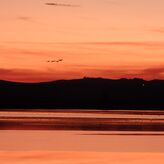 Laguna de Gallocanta uno de los mejores cielos esteparios para ver estrellas en Espaa