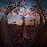 Dnde ver la Va Lctea este invierno en Latinoamrica y Europa gua para astrocuriosos