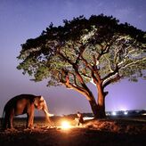 Samburu el cielo estrellado de Kenia que enamora a viajeros y comunidades locales