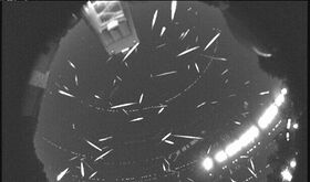 Geminidas 2025 dnde y cundo ver la lluvia de estrellas ms intensa del ao