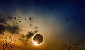 Cuando el Sol se apaga y la naturaleza habla as estudiar la ciencia el eclipse de 2026