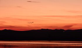 Laguna de Gallocanta uno de los mejores cielos esteparios para ver estrellas en Espaa
