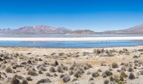 Salinas y Aguada Blanca el cielo andino de Per que conquista a los astrocuriosos