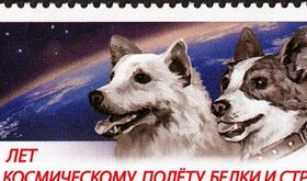 Belka y Strelka las dos perritas que viajaron al espacio y regresaron para contarlo