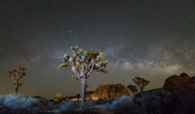 Por qu todos mirarn al cielo de Joshua Tree este fin de semana