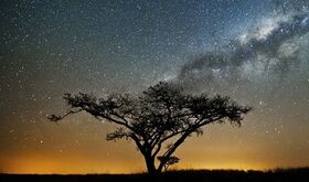 Ocho lugares imprescindibles para vivir el astroturismo en Sudfrica