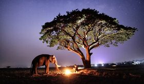 Samburu el cielo estrellado de Kenia que enamora a viajeros y comunidades locales