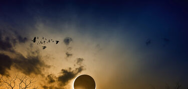 Cuando el Sol se apaga y la naturaleza habla as estudiar la ciencia el eclipse de 2026