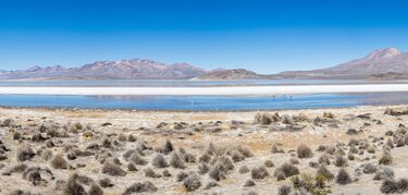 Salinas y Aguada Blanca el cielo andino de Per que conquista a los astrocuriosos