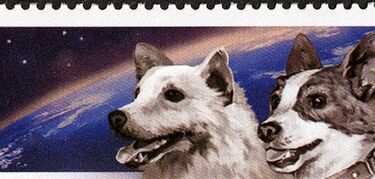 Belka y Strelka las dos perritas que viajaron al espacio y regresaron para contarlo