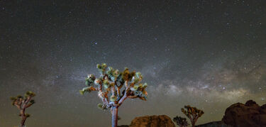 Por qu todos mirarn al cielo de Joshua Tree este fin de semana