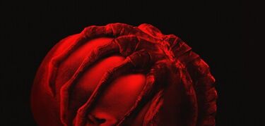 Siete pelculas de terror espacial para pasar Halloween lejos de la Tierra