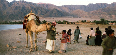 Beduinos en el desierto de Sinaí