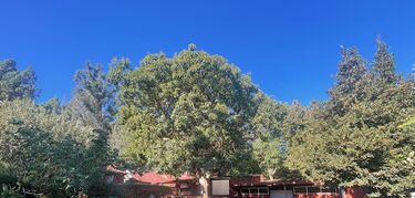 Vida sostenible y astroturismo Starlight en el Campamento Quimpi