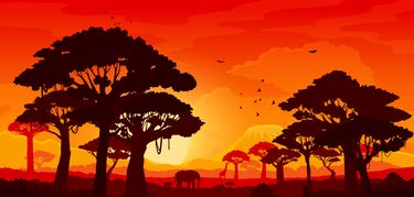 Tanzania