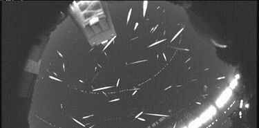 Geminidas 2025 dnde y cundo ver la lluvia de estrellas ms intensa del ao