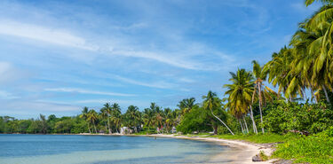 Astroturismo en Cuba estrellas y tortugas en la Cinaga de Zapata