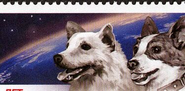Belka y Strelka las dos perritas que viajaron al espacio y regresaron para contarlo