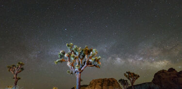 Por qu todos mirarn al cielo de Joshua Tree este fin de semana