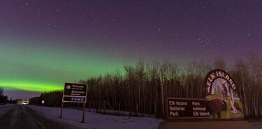 Siguiendo auroras boreales y bisontes en Canad