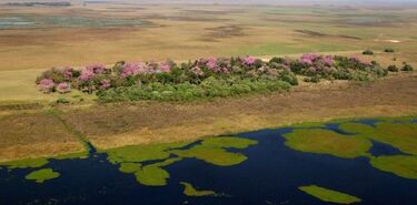 El destino de astroturismo en Argentina Parque del Iber reabre tras los incendios