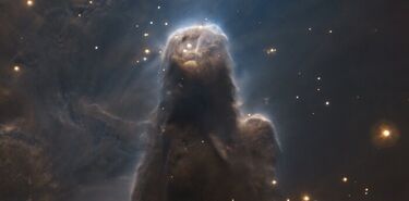 Espectacular imagen de una fbrica de estrellas en la Nebulosa del Cono