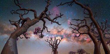 Dnde ver la Va Lctea este invierno en Latinoamrica y Europa gua para astrocuriosos