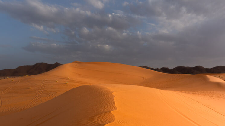 Ouzina Network Telescope