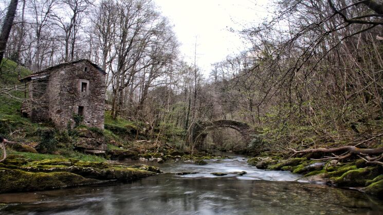miera cantabria