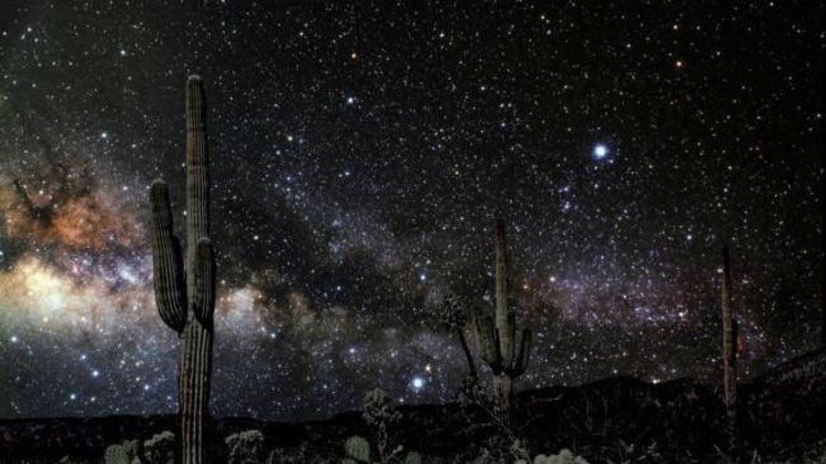 Desierto de Sonora de noche