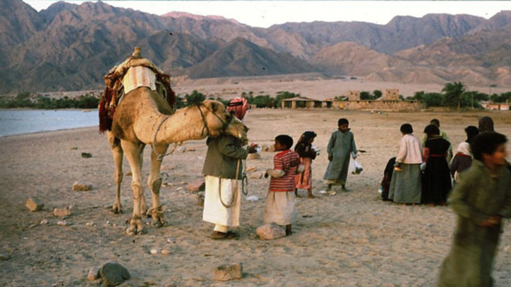 Beduinos en el desierto de Sina