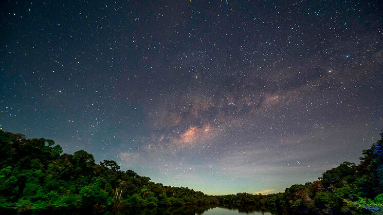 Estrellas en el Amazonas