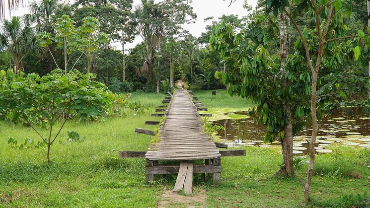 Parque Nacional Natural Amacayacu Amazonas