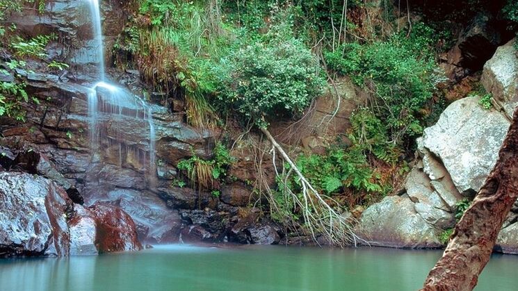 parque natural los alcornocales cdiz