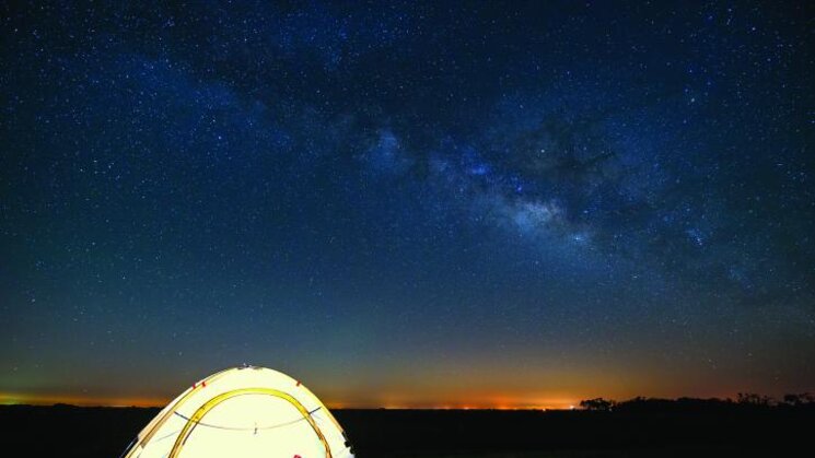 Kissimmee Prairie Preserve Florida