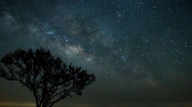 Big Cypress Florida