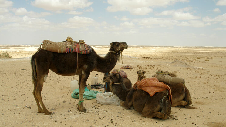 desierto blanco de farafra egipto