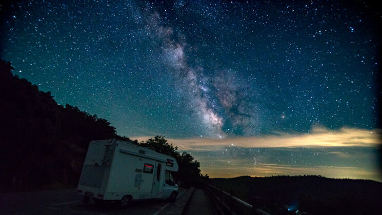 Monfrage 2025 aves y estrellas