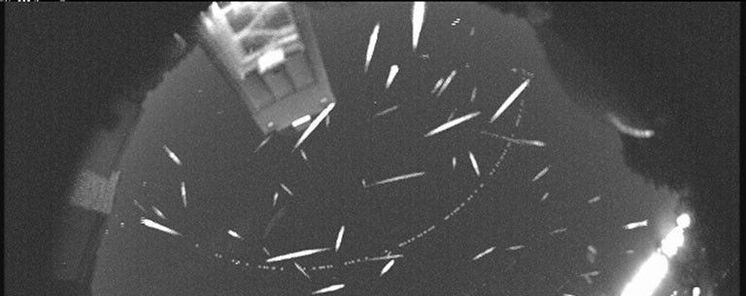 Geminidas 2025 dnde y cundo ver la lluvia de estrellas ms intensa del ao