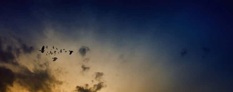 Cuando el Sol se apaga y la naturaleza habla as estudiar la ciencia el eclipse de 2026