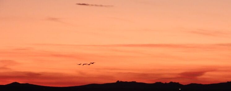 Laguna de Gallocanta uno de los mejores cielos esteparios para ver estrellas en Espaa