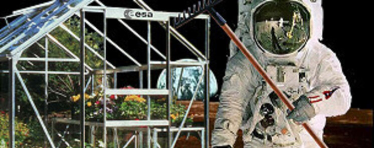50 plantas que nos ayudan a vivir en la Tierra y algn da en el espacio