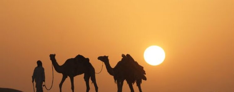 Las estrellas ms luminosas de Dubai