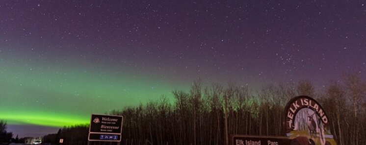Siguiendo auroras boreales y bisontes en Canad