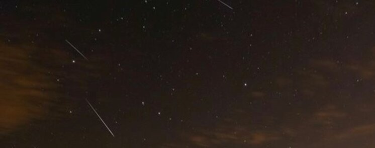 Cmo cundo y dnde ver las Dracnidas 2021