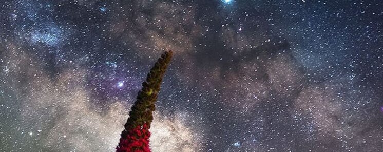 Las imgenes nocturnas ms bellas compartidas en redes el Da Mundial de la Astronoma