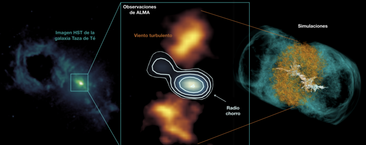 La peculiar morfologa de la regin central de la galaxia Taza de T