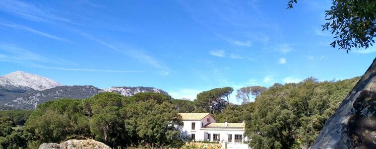 Turismo de estrellas en el Tambor del Llano el corazn de Grazalema  